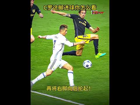 张琳艳荣膺,年中国女子,金球奖,星空体育平台官网,星空体育下载,星空体育直播,星空体育互动,星空体育入口
