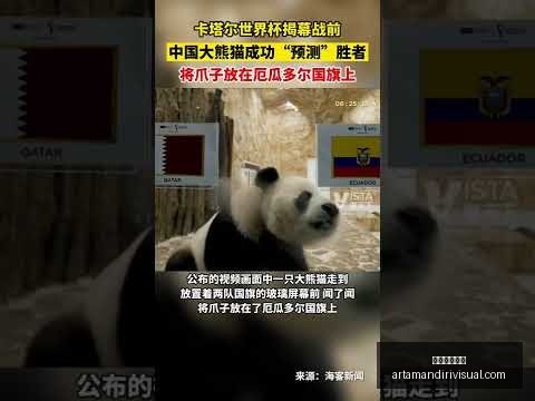 中超首阶段,名球员领,万罚金,星空体育平台官网,星空体育下载,星空体育直播,星空体育互动,星空体育入口